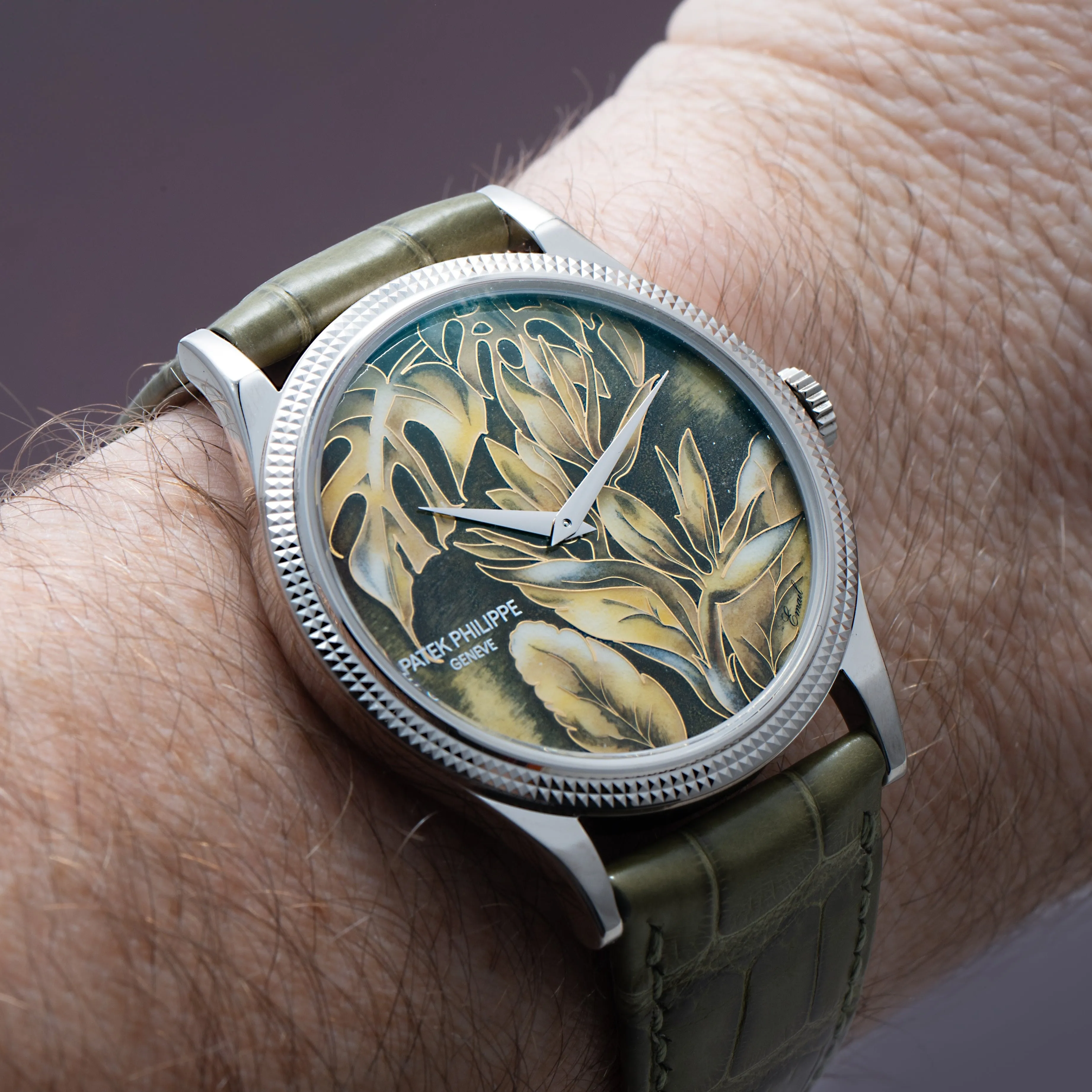 Patek Philippe Calatrava Cloisonné 'Tropical Leaves II'