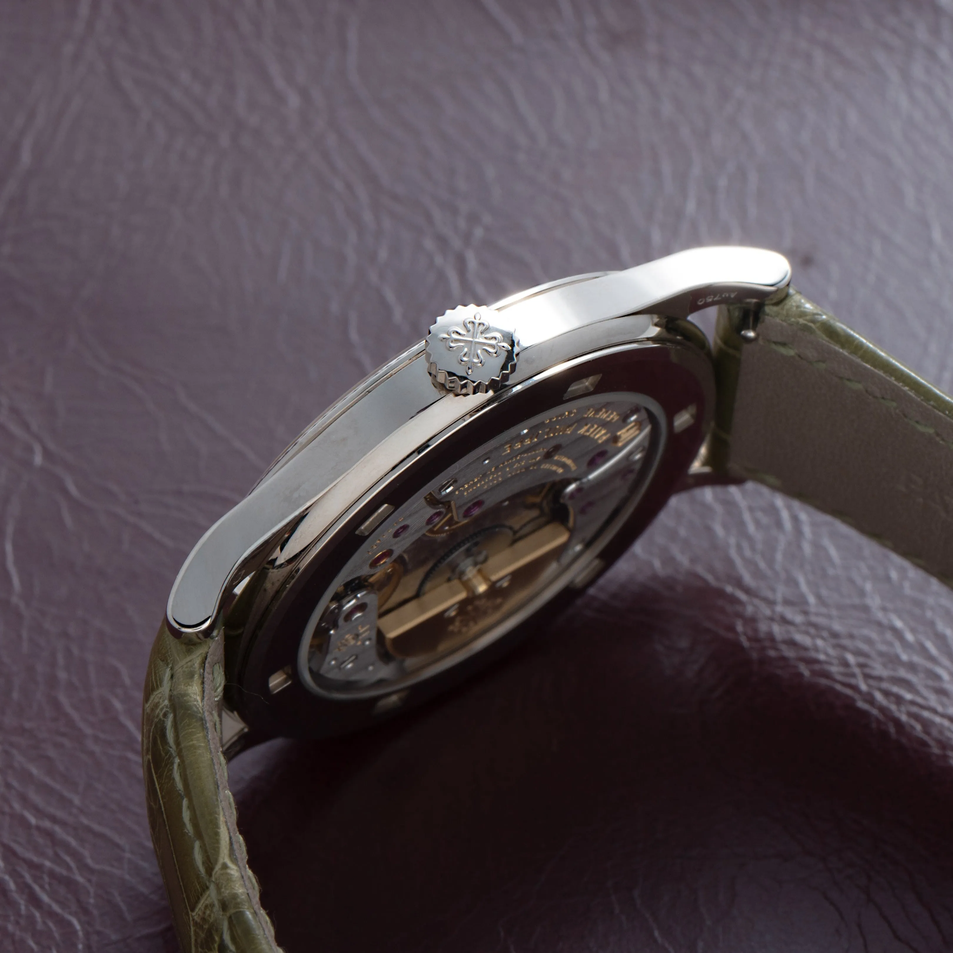 Patek Philippe Calatrava Cloisonné 'Tropical Leaves II'