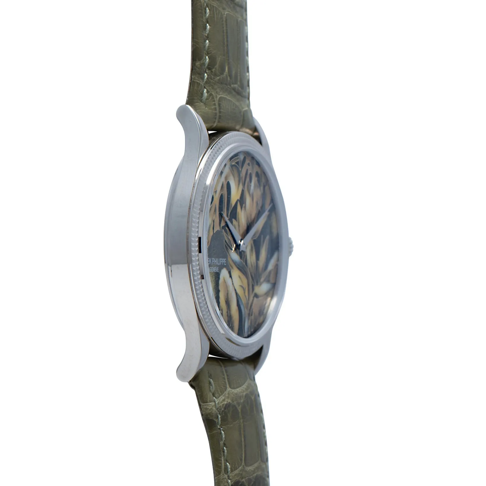 Patek Philippe Calatrava Cloisonné 'Tropical Leaves II'